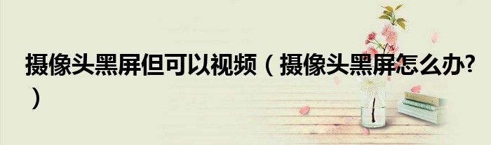 攝像頭黑屏但可以視頻（攝像頭黑屏怎么辦?）