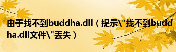 由于找不到buddha.dll（提示