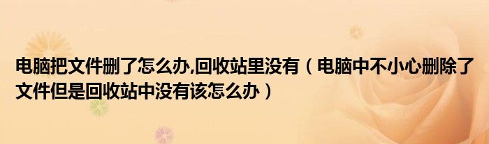 電腦把文件刪了怎么辦,回收站里沒有（電腦中不小心刪除了文件但是回收站中沒有該怎么辦）