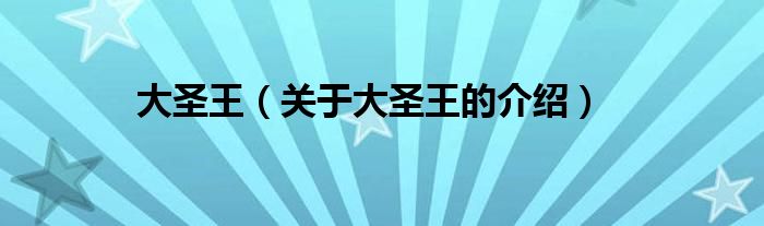 大圣王（關(guān)于大圣王的介紹）