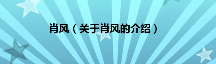 肖風(fēng)（關(guān)于肖風(fēng)的介紹）
