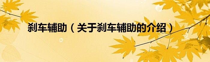 剎車輔助（關(guān)于剎車輔助的介紹）