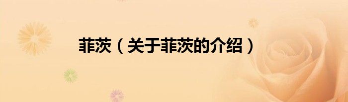 菲茨（關(guān)于菲茨的介紹）