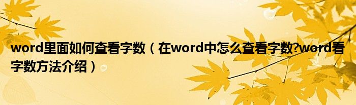 word里面如何查看字?jǐn)?shù)（在word中怎么查看字?jǐn)?shù)?word看字?jǐn)?shù)方法介紹）
