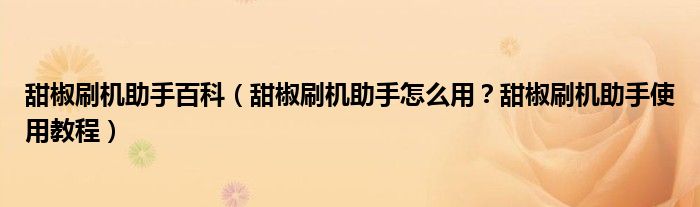 甜椒刷機(jī)助手百科（甜椒刷機(jī)助手怎么用？甜椒刷機(jī)助手使用教程）