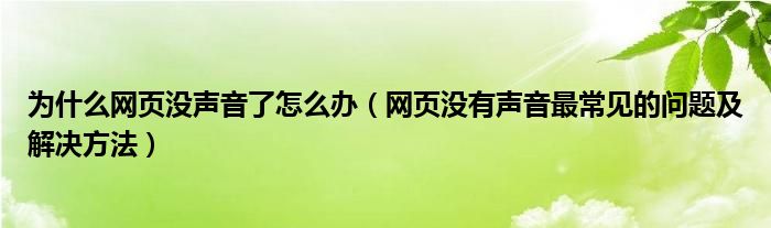 為什么網(wǎng)頁沒聲音了怎么辦（網(wǎng)頁沒有聲音最常見的問題及解決方法）