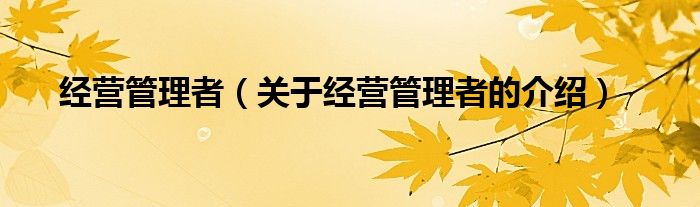 經(jīng)營(yíng)管理者（關(guān)于經(jīng)營(yíng)管理者的介紹）