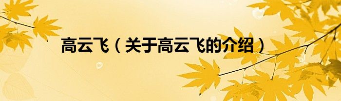 高云飛（關(guān)于高云飛的介紹）