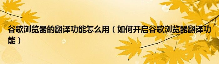 谷歌瀏覽器的翻譯功能怎么用（如何開啟谷歌瀏覽器翻譯功能）
