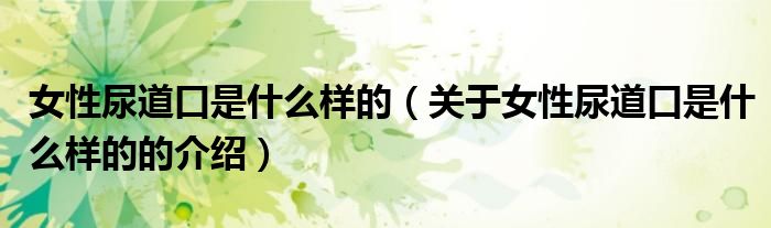 女性尿道口是什么樣的（關(guān)于女性尿道口是什么樣的的介紹）