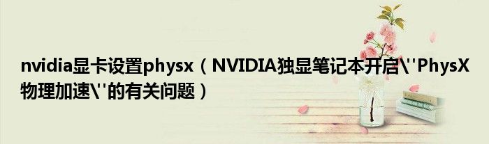 nvidia顯卡設(shè)置physx（NVIDIA獨(dú)顯筆記本開啟