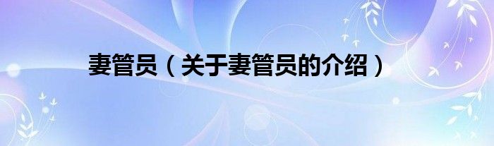 妻管員（關(guān)于妻管員的介紹）