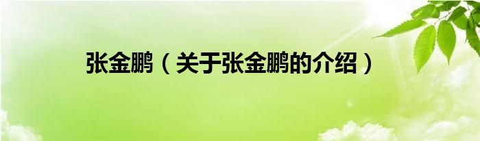 張金鵬（關(guān)于張金鵬的介紹）