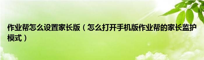 作業(yè)幫怎么設(shè)置家長版（怎么打開手機(jī)版作業(yè)幫的家長監(jiān)護(hù)模式）