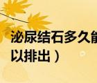 泌尿結(jié)石多久能排出（女性尿結(jié)石一般多久可以排出）