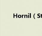 Hornil（StylePix及圖文使用教程）