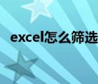 excel怎么篩選數(shù)據(jù)（Excel怎么篩選數(shù)據(jù)）