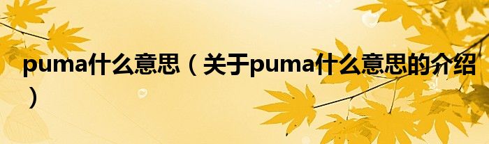 puma什么意思（關(guān)于puma什么意思的介紹）