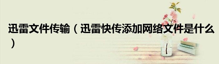 迅雷文件傳輸（迅雷快傳添加網(wǎng)絡文件是什么）