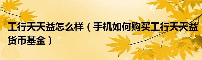 工行天天益怎么樣（手機(jī)如何購買工行天天益貨幣基金）