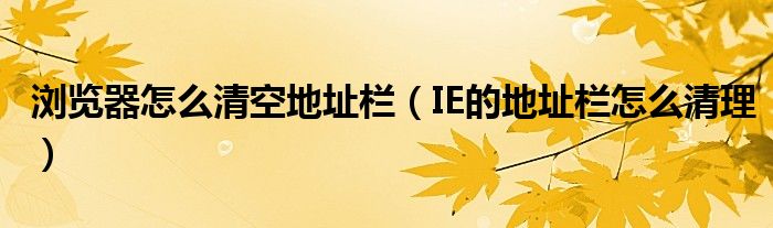 瀏覽器怎么清空地址欄（IE的地址欄怎么清理）