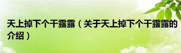 天上掉下個(gè)干露露（關(guān)于天上掉下個(gè)干露露的介紹）