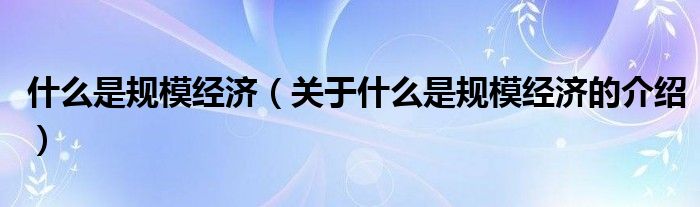 什么是規(guī)模經(jīng)濟(jì)（關(guān)于什么是規(guī)模經(jīng)濟(jì)的介紹）