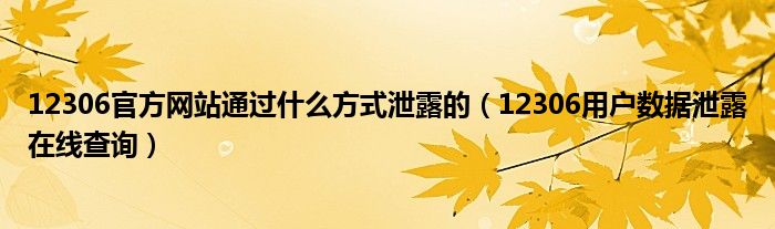 12306官方網(wǎng)站通過(guò)什么方式泄露的（12306用戶數(shù)據(jù)泄露在線查詢）