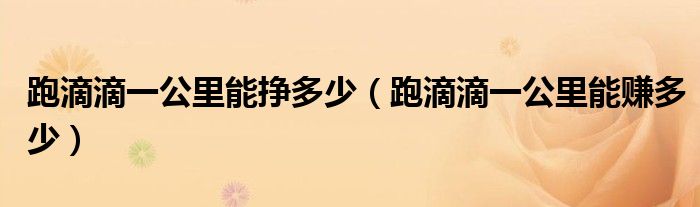 跑滴滴一公里能掙多少（跑滴滴一公里能賺多少）