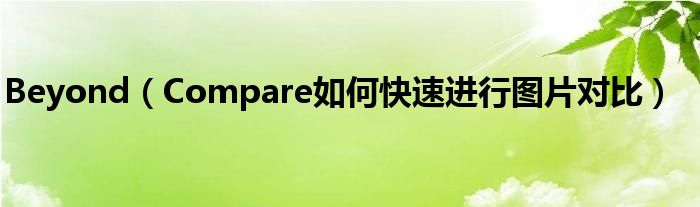 Beyond（Compare如何快速進行圖片對比）