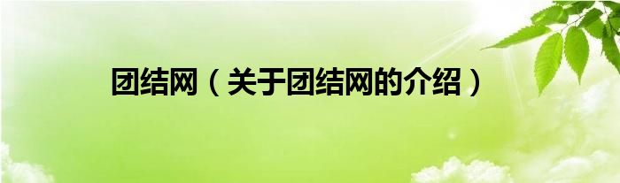 團(tuán)結(jié)網(wǎng)（關(guān)于團(tuán)結(jié)網(wǎng)的介紹）