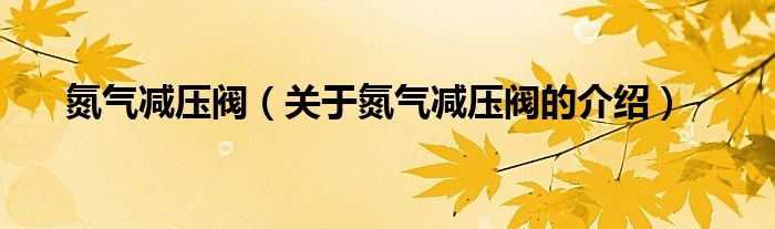 氮氣減壓閥（關(guān)于氮氣減壓閥的介紹）