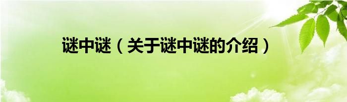 謎中謎（關(guān)于謎中謎的介紹）