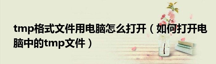 tmp格式文件用電腦怎么打開（如何打開電腦中的tmp文件）