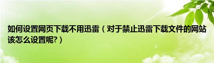 如何設(shè)置網(wǎng)頁下載不用迅雷（對于禁止迅雷下載文件的網(wǎng)站該怎么設(shè)置呢?）