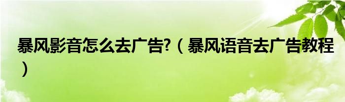 暴風(fēng)影音怎么去廣告?（暴風(fēng)語音去廣告教程）