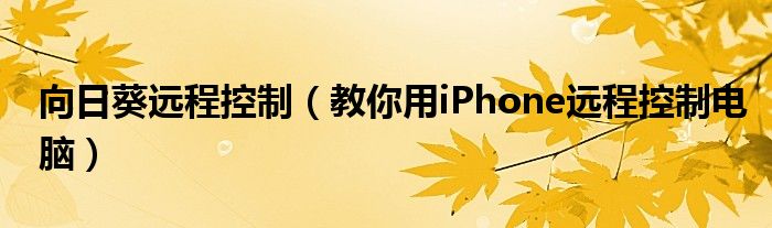 向日葵遠(yuǎn)程控制（教你用iPhone遠(yuǎn)程控制電腦）