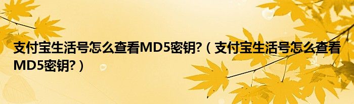 支付寶生活號(hào)怎么查看MD5密鑰?（支付寶生活號(hào)怎么查看MD5密鑰?）