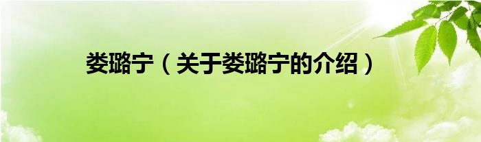 婁璐寧（關(guān)于婁璐寧的介紹）
