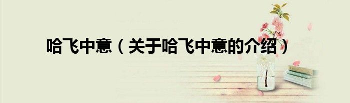 哈飛中意（關(guān)于哈飛中意的介紹）