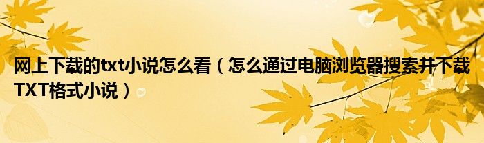 網(wǎng)上下載的txt小說怎么看（怎么通過電腦瀏覽器搜索并下載TXT格式小說）