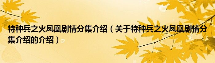 特種兵之火鳳凰劇情分集介紹（關(guān)于特種兵之火鳳凰劇情分集介紹的介紹）