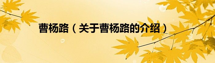 曹楊路（關(guān)于曹楊路的介紹）