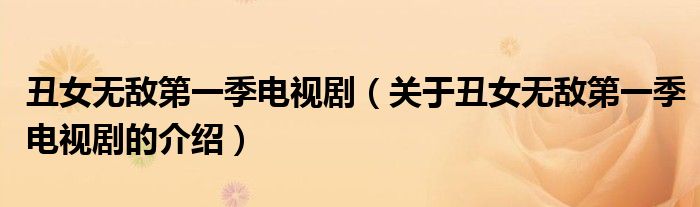 丑女無敵第一季電視?。P(guān)于丑女無敵第一季電視劇的介紹）
