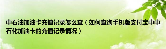 中石油加油卡充值記錄怎么查（如何查詢(xún)手機(jī)版支付寶中中石化加油卡的充值記錄情況）