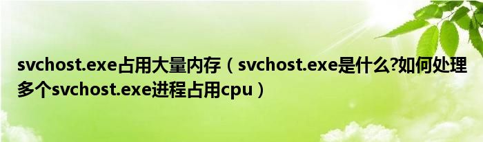 svchost.exe占用大量?jī)?nèi)存（svchost.exe是什么?如何處理多個(gè)svchost.exe進(jìn)程占用cpu）