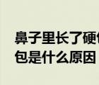 鼻子里長了硬包是什么?（鼻子旁邊長了個硬包是什么原因）