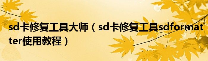 sd卡修復(fù)工具大師（sd卡修復(fù)工具sdformatter使用教程）