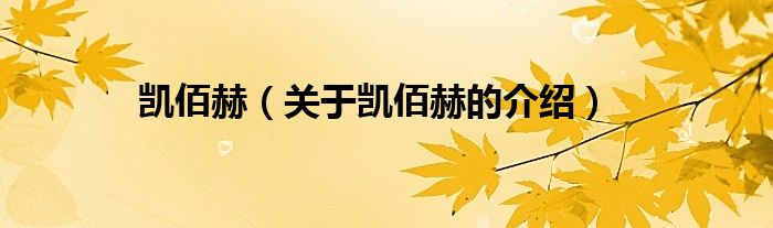 凱佰赫（關(guān)于凱佰赫的介紹）