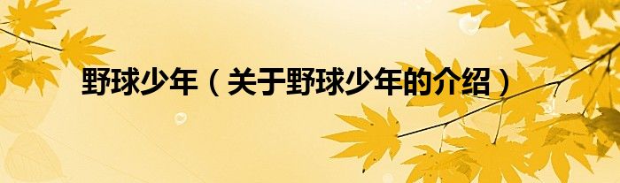 野球少年（關(guān)于野球少年的介紹）